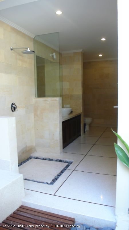 Tropical 4 bedroom villa for sale Seminyak pool bar