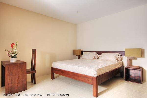 Bali Seminyak villa property for sale 3 bedrooms modern designed