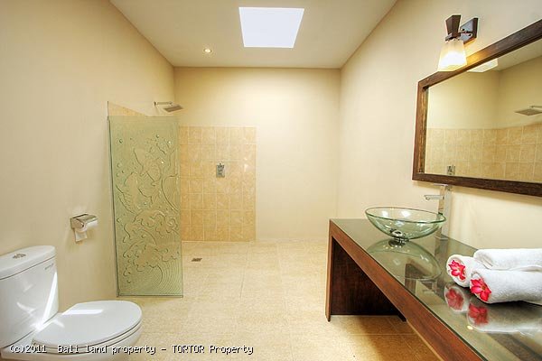 Bali Seminyak villa property for sale 3 bedrooms modern designed