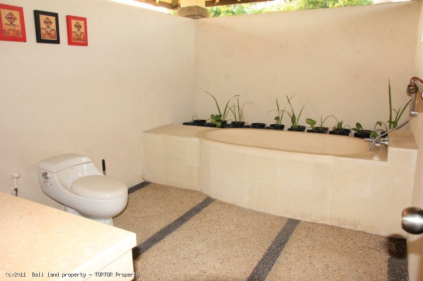 Bali property for sale 3 bedroom large pool nice views large bathrooms