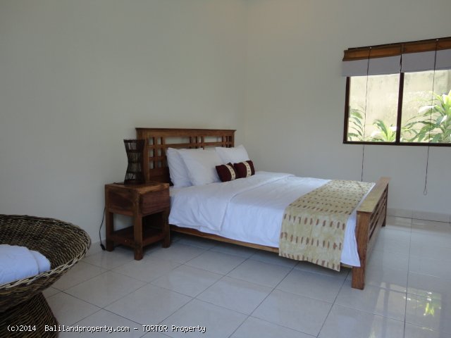 Three bedroom house with pool in great location