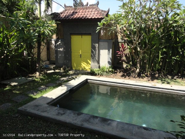 Three bedroom house with pool in great location