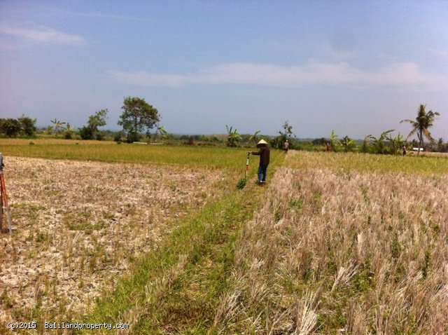 Ocean view 1500m2 freehold land Kerambitan