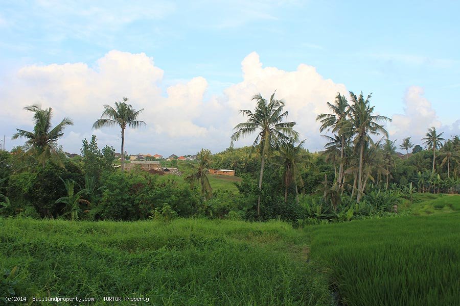 Long shaped 1050m2 land for lease