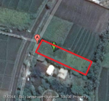 Long shaped 1050m2 land for lease