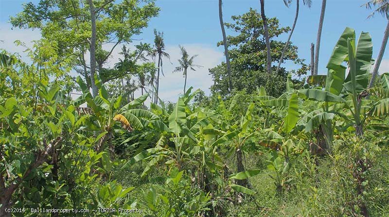 Freehold 700m2 plot near Mertasari beach
