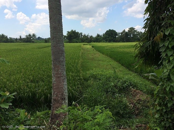  Freehold 1185m2 riverfront in Belalang