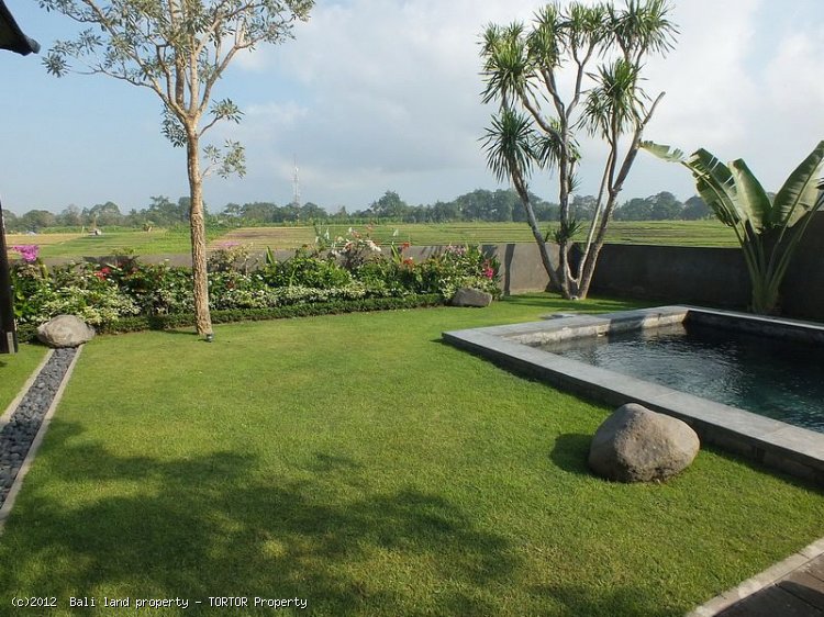 Freehold 2 bedroom villa on 400m2 green belt views