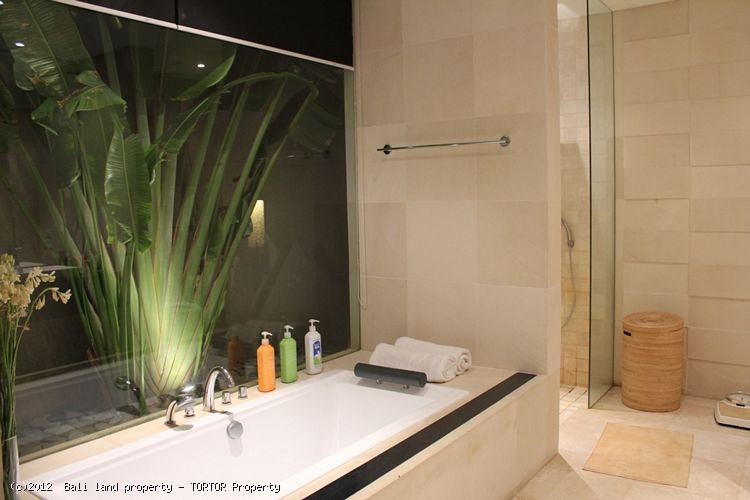 Bali Umalas 3 bedroom for lease near horse stables