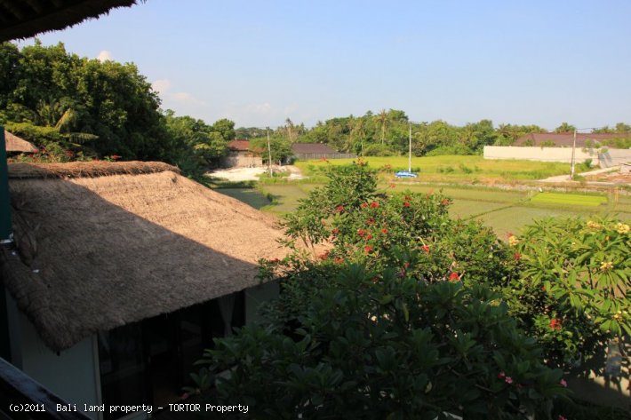 Villa in Bali for lease or sale with 3 bedrooms private pool