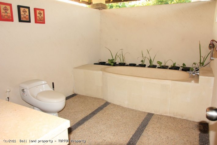 Villa in Bali for lease or sale with 3 bedrooms private pool