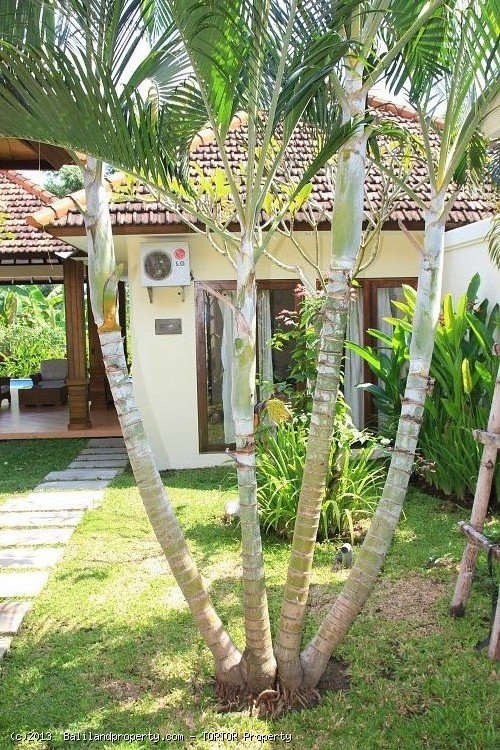 villa 2 bedroom with pool on 600m2 leasehold sale