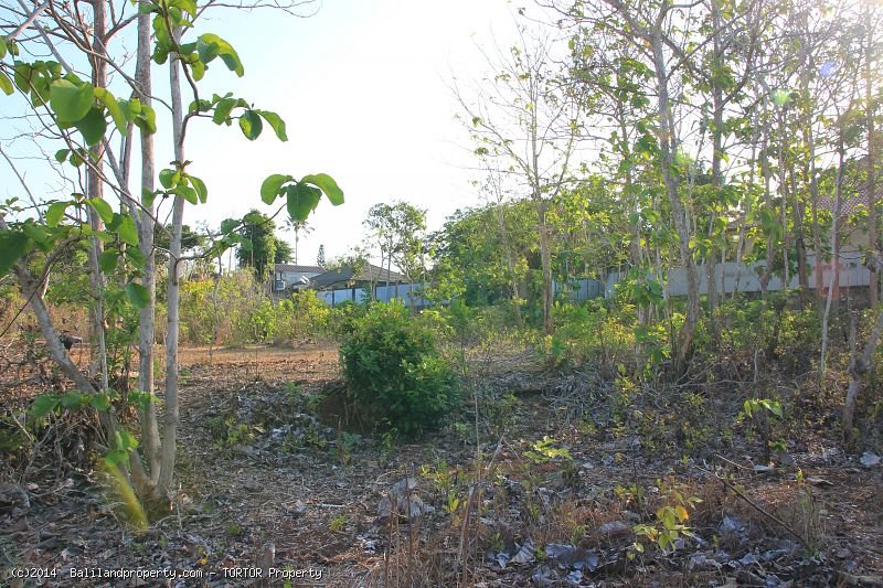 Square shaped 2,500 m2 land quiet spot