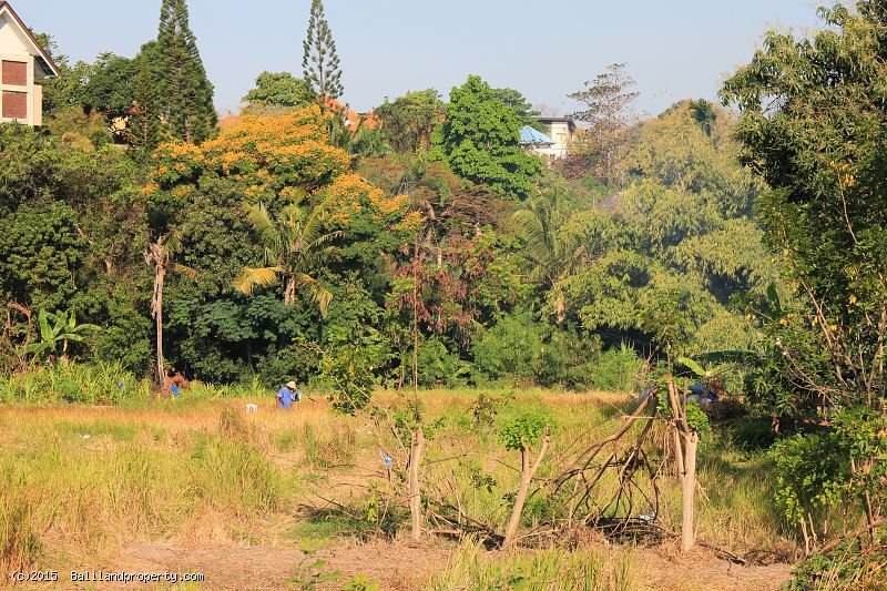 Thousand m2 leasehold land in Umalas near creek