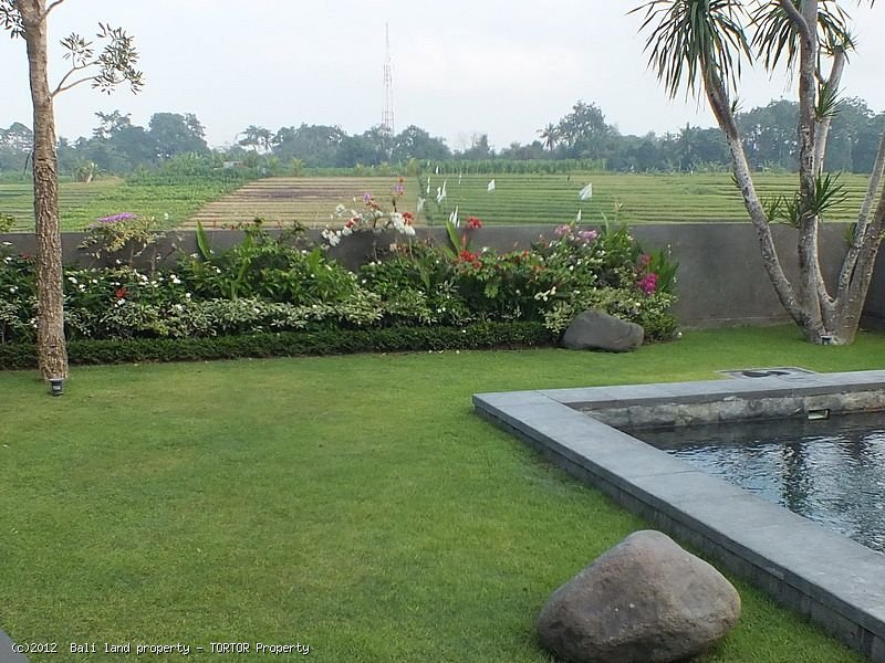 Freehold 2 bedroom villa on 400m2 green belt views